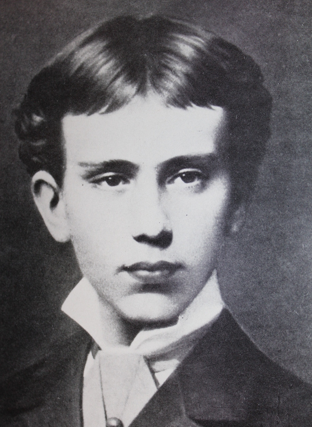 Венский лес